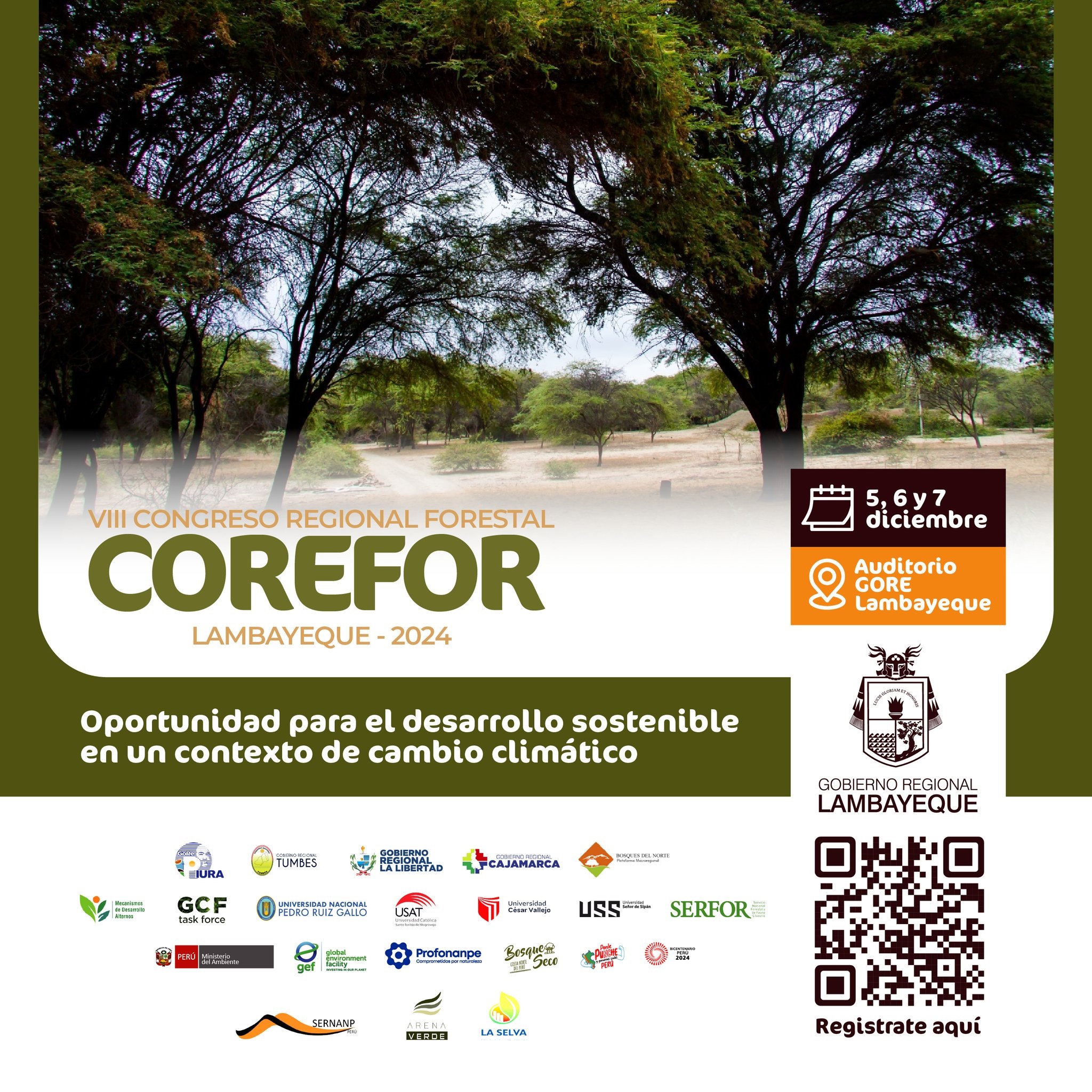 Flyer VIII COREFOR